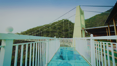 C0117_2.gif 圖片
