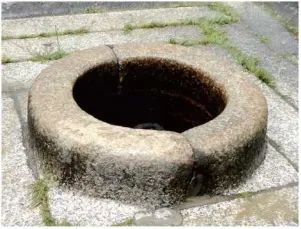 圖片