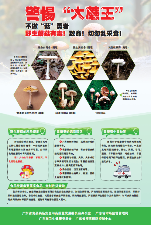 警惕“大蘑王”，不做“菇”勇者.png