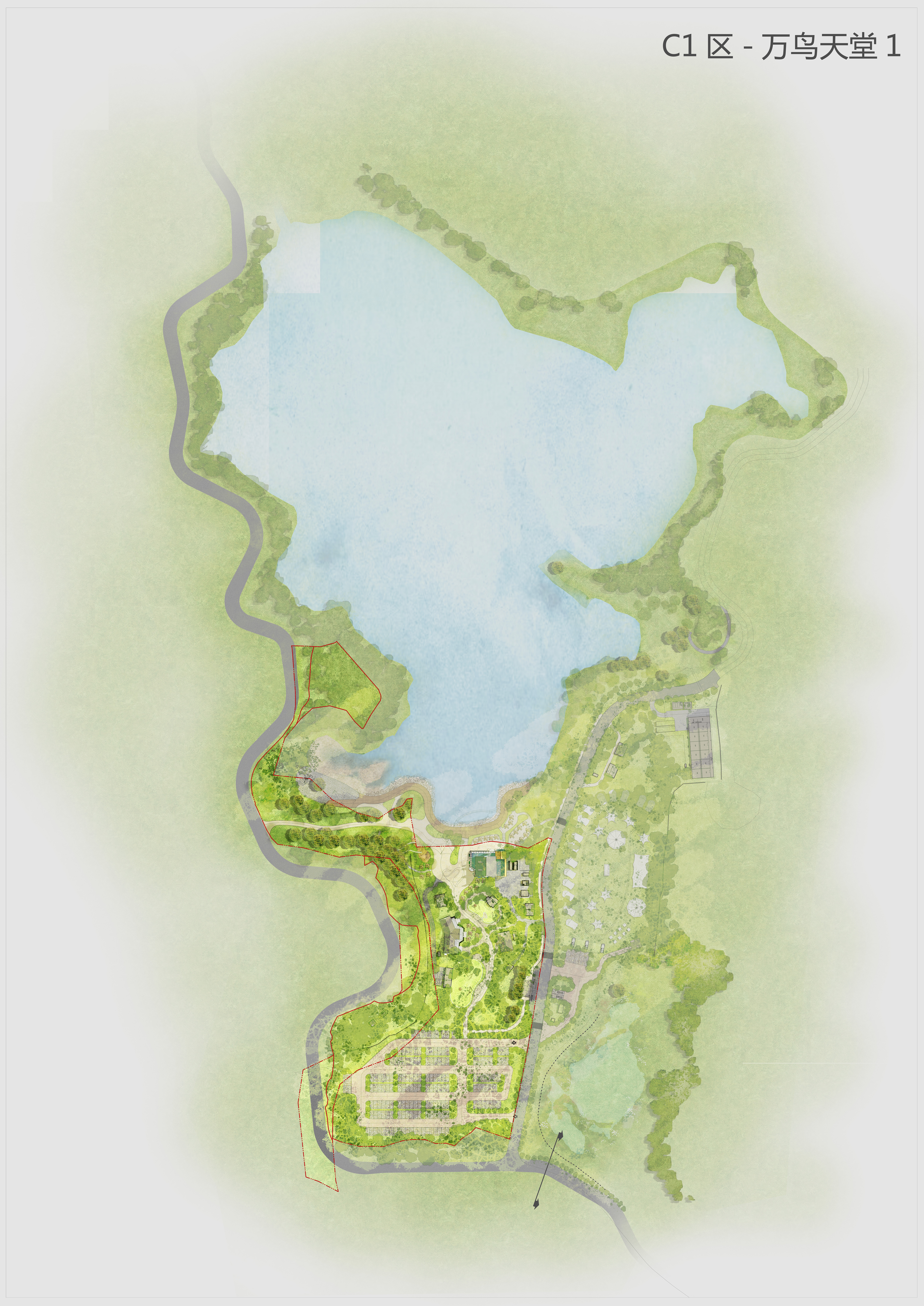 C1-萬鳥天堂1(1).jpg
